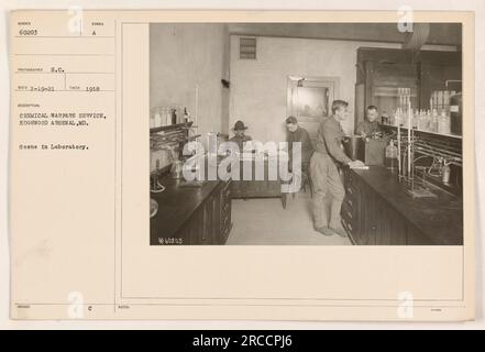 Chemical Warfare Service condusse esperimenti all'Edgewood Arsenal nel Maryland nel 1918. L'immagine mostra una scena all'interno di un laboratorio. Le note indicano che la fotografia è stata ricevuta il 19 febbraio 1921, con il simbolo "Scene in Laboratory" e il codice a della ISU (Identification Station Underground) Foto Stock