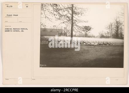 Soldati del Chemical Warfare Service presso Edgewood Arsenal, Maryland, dimostrando l'uso di maschere antigas durante la prima guerra mondiale. Questa foto mostra che indossano indumenti protettivi e si allenano per potenziali attacchi chimici. Foto Stock