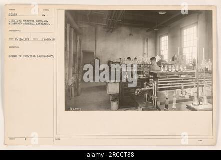 Personale addetto alla guerra chimica che lavora in un laboratorio all'Edgewood Arsenal nel Maryland. La foto è stata scattata il 20 novembre 1918. La scena raffigura individui che conducono ricerche o test chimici. Il numero di identificazione della fotografia è 60215, con note aggiuntive che indicano la data di emissione il 4 marzo e il simbolo del fotografo come SECO. Foto Stock