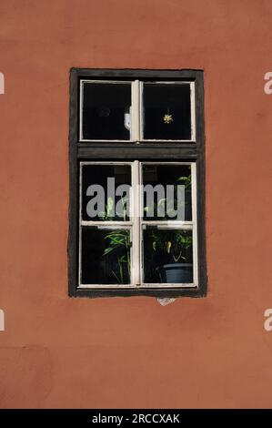 Finestra in legno di una vecchia casa decorata con fiori all'interno Foto Stock