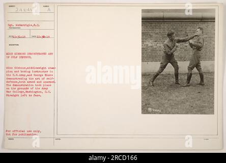 Il sergente McGarrigle ha scattato questa foto durante una dimostrazione di tecniche di autodifesa il 30 ottobre 1918. Mike Gibbons, campione dei pesi medi e istruttore di boxe negli Stati Uniti L'esercito, insieme a George Blake, mostrò metodi di autodifesa sia armati che disarmati. La manifestazione si è svolta presso l'Army War College di Washington, D.C. Foto Stock