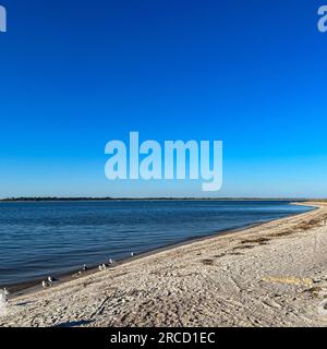 La riva dell'Oceano Atlantico con i gabbiani in una giornata di sole al Fort Clinch state Park in Florida. Foto Stock