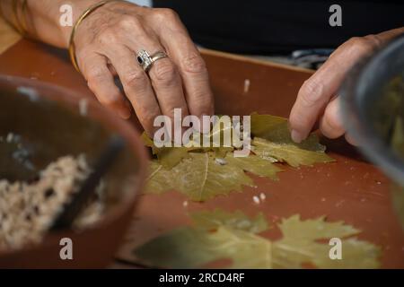 La donna sta rotolando foglie di vite Sarma (anche warak enab o Dolma) avvolte intorno a un ripieno di riso e carne macinata Foto Stock