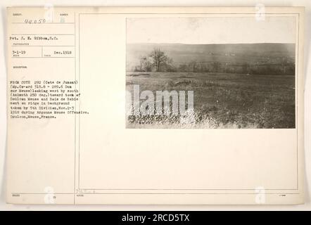 Pvt. J. E. Gibbon, S.C. è visibile nella fotografia scattata il 1918 dicembre dalla Cote 292 (Cete de Jument), guardando ad ovest da sud verso la città di Doulcon Meuse e Bois de Babie. L'immagine mostra un momento della 5a Divisione che prese la città sul crinale durante l'offensiva della Mosa di Argonne il 2-3 novembre 1918. La posizione della foto è Doulcon, Mosa, Francia. Foto Stock