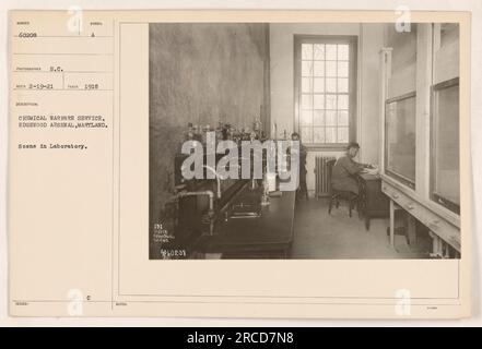 Una scena in un laboratorio all'Edgewood Arsenal nel Maryland. Questo laboratorio fa parte del Chemical Warfare Service durante la prima guerra mondiale Questa fotografia è stata scattata nel 1918 ed è numerata 60208. (Didascalia derivata dalla descrizione fornita nei metadati dell'immagine) Foto Stock