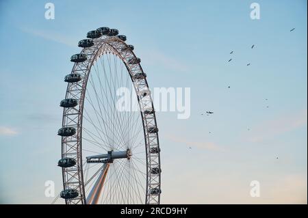 Uccelli e aerei vicino alla ruota panoramica Foto Stock