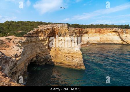Scogliere vicino alla spiaggia di Corredoura nell'Algarve. Foto Stock