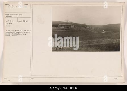 I soldati della 361st Infantry, 91st Division, sono visti a Bois Communal de Cierges, situato 2 km a nord di Eclisfontaine, Mosa, Francia. La foto è stata scattata il 17 febbraio 1919 da SGT. Seabrook. L'immagine include dettagli quali il numero del soggetto assegnato, le note descrittive e la relativa documentazione emessa etichettata come $3178. Foto Stock