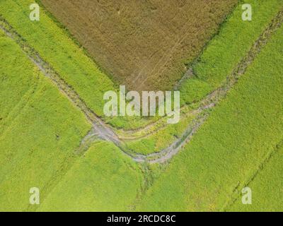 Forme geometriche astratte di parcelle agricole di diverse c. Foto Stock