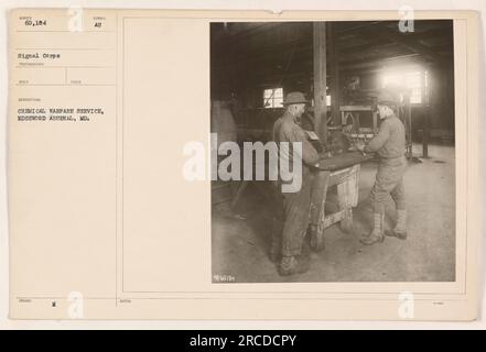 I soldati del Chemical Warfare Service all'Edgewood Arsenal, MD, conducono esercitazioni di addestramento durante la prima guerra mondiale. I soldati sono visti indossare maschere antigas e indumenti protettivi, dimostrando le misure adottate per difendersi dagli attacchi di guerra chimica durante il conflitto. Foto Stock