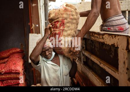 I lavoratori trasportano cipolle per le strade di Colombo, Sri Lanka Foto Stock