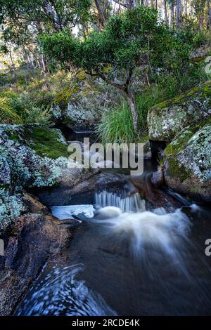 Una piccola cascata si innalza su rocce di granito, Glen Elgin Creek, New England Tablelands, NSW Australia Foto Stock