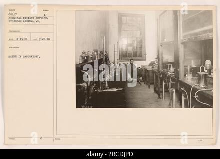 Una scena nel laboratorio NUMERO 60217 A₁, Chemical Warfare Service presso Edgewood Arsenal, MD. La foto è stata scattata il 20 settembre 1918 e ricevuta dal fotografo il 19 febbraio 1921. L'immagine raffigura una scena all'interno del laboratorio. Include il riferimento al simbolo e le note. Note immagine: 9060217 3--09. Foto Stock