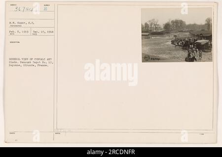 Una visione generale dei canali e dei depositi del Remount Depot No. 10 a Bayonne, Gironde, Francia. La foto è stata scattata il 10 dicembre 1918 e pubblicata il 5 febbraio 1919. Fonte: Fotografie delle attività militari americane durante la prima guerra mondiale (111-SC-36744). Foto Stock