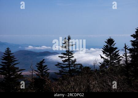 Vista dalla stazione 5 del Monte Fuji sopra le nuvole Foto Stock