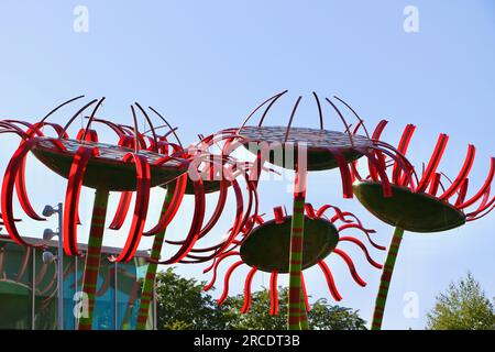 Sonic Bloom scultura di Dan Corson cinque enormi girasoli scolpiti con steli a righe verdi e arancioni Pacific Science Center Seattle, Washington State Foto Stock