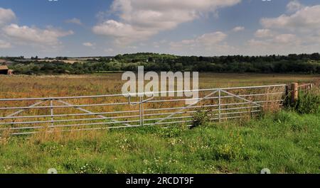 Un cancello a doppia larghezza all'entrata di un campo accanto a una strada secondaria rurale. Foto Stock