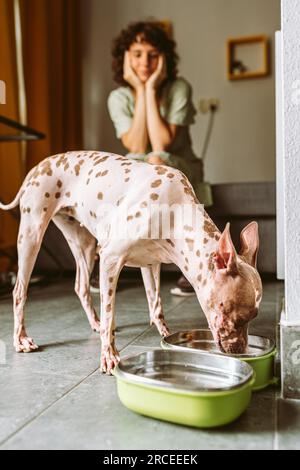 Ragazza adolescente che passa del tempo con il suo amato animale domestico Foto Stock