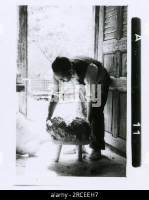 Fotografo delle SS Dürr 1943 scene domestiche di fattorie e città in Germania; ritratti di singoli soldati e foto di gruppo; campagna tedesca, villaggi e popolazione locale in abiti tradizionali; cerimonia di reclutamento, immagini della città bombardate che ritraggono le attività in prima linea delle unità Waffen-SS . Foto Stock