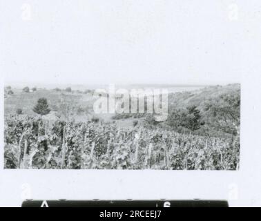 Fotografo delle SS Dürr 1943 scene domestiche di fattorie e città in Germania; ritratti di singoli soldati e foto di gruppo; campagna tedesca, villaggi e popolazione locale in abiti tradizionali; cerimonia di reclutamento, immagini della città bombardate che ritraggono le attività in prima linea delle unità Waffen-SS . Foto Stock