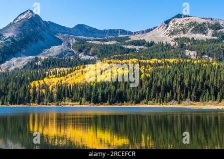 Alberi di Aspen e colori autunnali al Lost Lake Campground, al largo della strada del passo Kebler in Colorado. Foto Stock