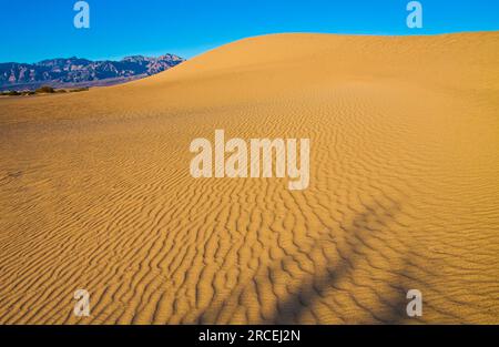 Ripples in the Sand on the Mesquite Flat Sand Dunes and Armagosa Mountain Range, Death Valley National Park, California, USA Foto Stock