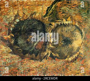 Natura morta con due girasoli 1887; Parigi, Francia di Vincent van Gogh Foto Stock
