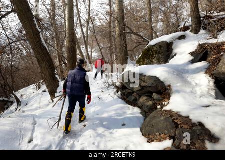 Nelle prime ore del mattino è possibile ammirare la via di arrampicata da Darband alla vetta di Tochal. Gli alpinisti camminano su questo sentiero. Foto Stock