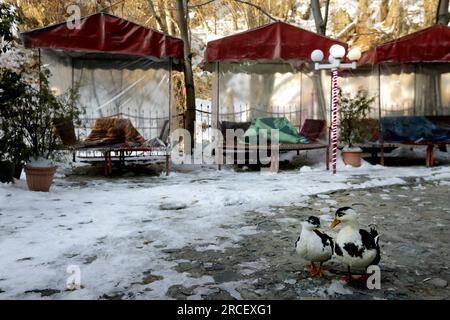 Nella foto si può vedere il villaggio turistico di Darband nel nord della città di Teheran all'alba. Questo villaggio è stato a lungo una via di arrampicata per re Foto Stock