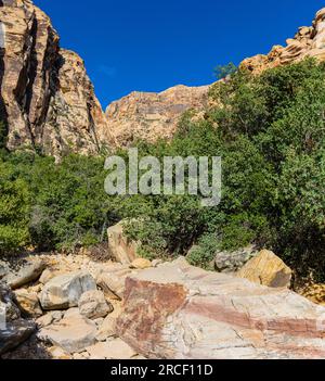 Massi e ripide pareti del Canyon sull'Ice Box Canyon Trail, Red Rock Canyon National Conservation area, Nevada, USA Foto Stock