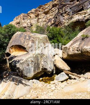 Massi e ripide pareti del Canyon sull'Ice Box Canyon Trail, Red Rock Canyon National Conservation area, Nevada, USA Foto Stock