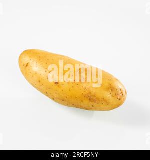 Primo piano di una patata giovane grande su sfondo bianco. Foto Stock