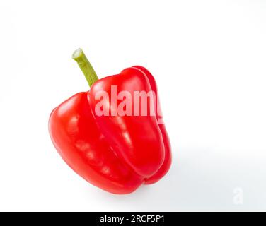 Un grande primo piano di paprika rossa su sfondo bianco. Foto Stock