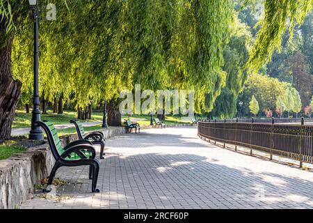 Splendidi filmati dei parchi in Moldavia Foto Stock