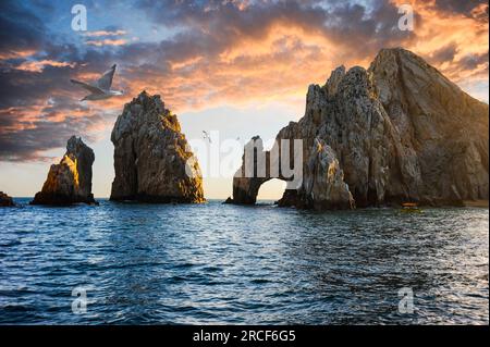 I gabbiani volano sopra l'iconico arco di Cabo San Lucas, una formazione rocciosa vicino alla punta più meridionale della penisola a Cabo San Lucas, Baja California, Messico. Foto Stock