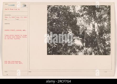 Un aereo atterrato in un gruppo di alberi vicino a Eberts Field a Lonoke, Arkansas. Non sono state riportate ferite. Questa foto è stata scattata il 17 agosto 1918 e ricevuta il 7 novembre 1918. Il numero della descrizione è URT54140 e la fotografia non è destinata alla pubblicazione, ma solo ad uso ufficiale. È stato emesso con 4 banconote, identificate come 98. Foto Stock