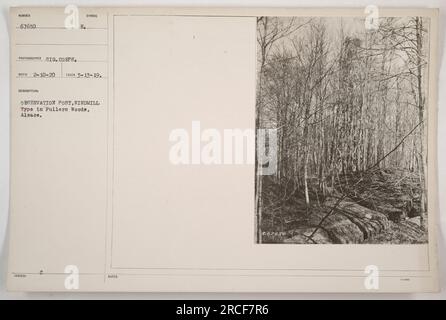 Posto di osservazione fatto per assomigliare a un mulino a vento, situato a Fullern Woods in Alsazia. La fotografia è stata scattata il 13 marzo 1919 ed è identificata con il simbolo 'ABFUED C.' e' stata scattata da un fotografo del Signal Corps. Foto Stock