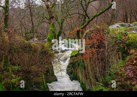 Splendida vista delle montagne e del lago in Scozia Foto Stock