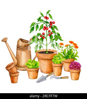 Verdure coltivate in vasi di argilla. Orto in contenitori. Composizione acquerello sul tema del giardinaggio, delle piantine primaverili, della coltivazione di ortaggi, Foto Stock