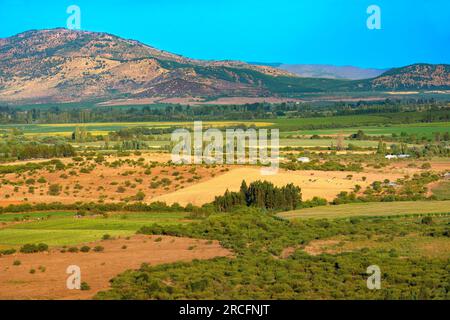 Campi di raccolto e delle aziende agricole nella Regione del Maule nel sud del Cile Foto Stock