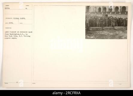 I soldati costruirono gabbie per piccioni per la corsa Futurity, che prevedeva il trasporto di 1200 piccioni da Washington D.C. a New York, durante la prima guerra mondiale. Fotografia scattata dalla Signal Corps, ricevuta nel 1918. I piccioni erano comunemente usati per scopi di comunicazione durante la guerra. Foto Stock