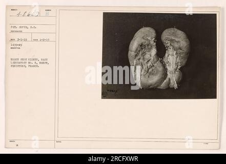 Soldier Technician S.C. Soper di fronte a un laboratorio di base (laboratorio di base n. 5) a Brest, Finistere, Francia. La fotografia mostra una struttura renale a ferro di cavallo nota come "Sumber B". Si noti che la fotografia è stata scattata il 2 gennaio 1919, e il numero di identificazione del soldato è 48609. Foto Stock