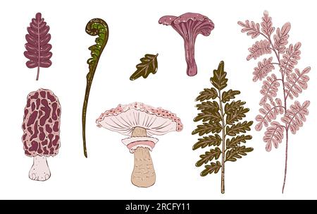 Set di funghi decorativi e erbe. Illustrazione disegnata a mano, isolata. Foto Stock