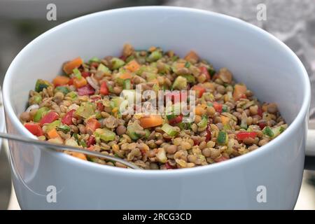 Insalata di verdure salutari di lenticchie con carota, peperone, sedano, spezie ed erbe in una ciotola bianca, messa a fuoco selezionata, profondità di campo ristretta Foto Stock