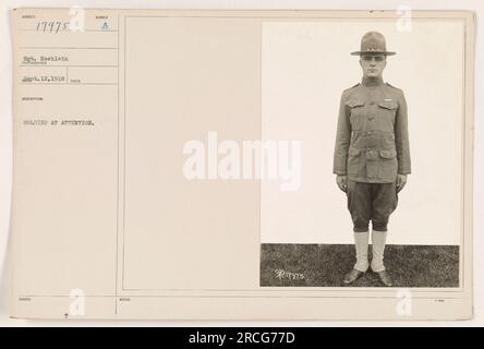 Il sergente Hoehlein è visto in questa fotografia, scattata il 12 settembre 1918, in piedi all'attenzione. L'immagine fa parte della collezione Tarts e ha l'identificatore 111-SC-17975. Ulteriori informazioni includono il numero individuale del soldato, 7975. Foto Stock