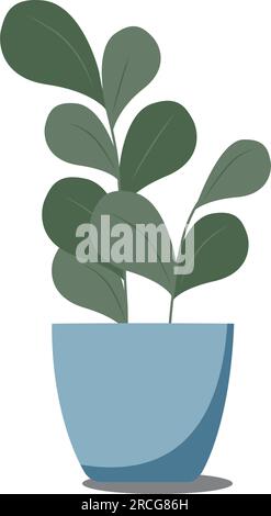 illustrazione vettoriale della ficus in un vaso. Pianta di casa verde Illustrazione Vettoriale