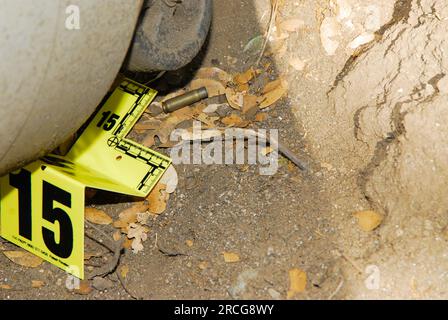 Custodia della cartuccia della scena del crimine Foto Stock