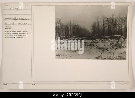 Questa fotografia mostra una vista di Bois Banal Woods a Mosa, in Francia durante la prima guerra mondiale. L'immagine cattura la presenza di cassoni di cemento tedesco e di un punto di osservazione (O.P.) nel bosco. Il fotografo è Sot. W. W. Bell, e la foto è stata scattata il 14 aprile 1919. Foto Stock