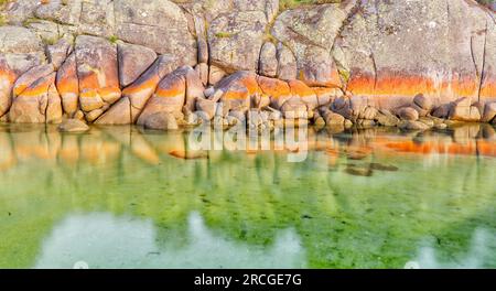 Rocce di granito lungo la costa con licheni arancioni a Binalong Bay, Bay of Fires, St Helens, Tasmania, Australia Foto Stock