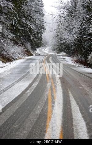 Una strada vuota con piste innevate sul marciapiede circondata da alberi innevati. Foto Stock